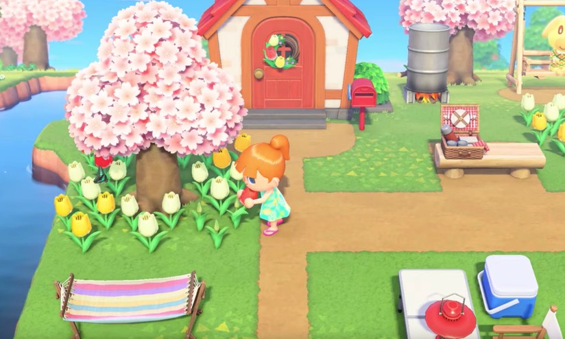 Animal Crossing Direct